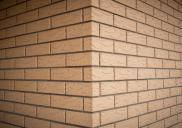 Цегла клінкерна Пр1 жемчуг 250*120*65