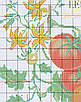 Набір для вишивання за нанесеною на канву схемою “Tomatoes 3”. AIDA 14CT printed , 36*36см., фото 5