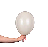 Латексна куля пастель лате 10" (25 см) Gemar, фото 2