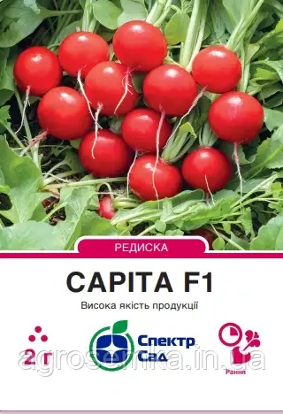 Редиска Саріта F1, 2 г Спектр сад / Enza Zaden