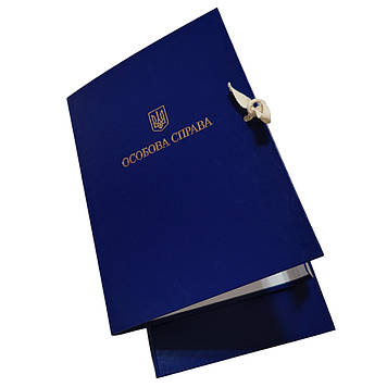 Папка на зав'язках із тисненням "під золото" ф. А4, без клапанів, бумвініл 10мм