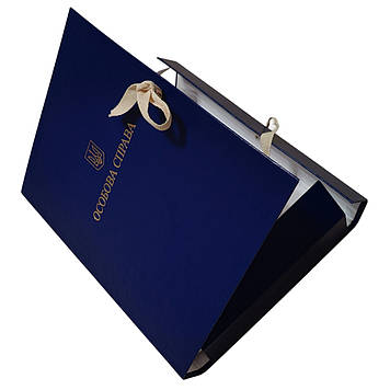 Папка Особиста справа на зав'язках із тисненням "під золото", А4 з клапанами (20мм)