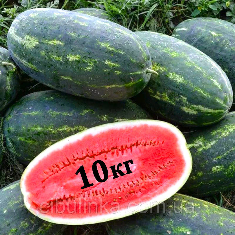 Кавун Юммі F1 Lark Seeds/США 10 шт (zip-paket), фото 1