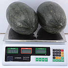 Кавун KS 250 F1 помаранчевий Kitano/Японія 10 шт (zip-paket), фото 4