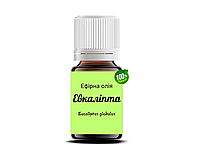 Эфирное масло Эвкалипта 10 мл