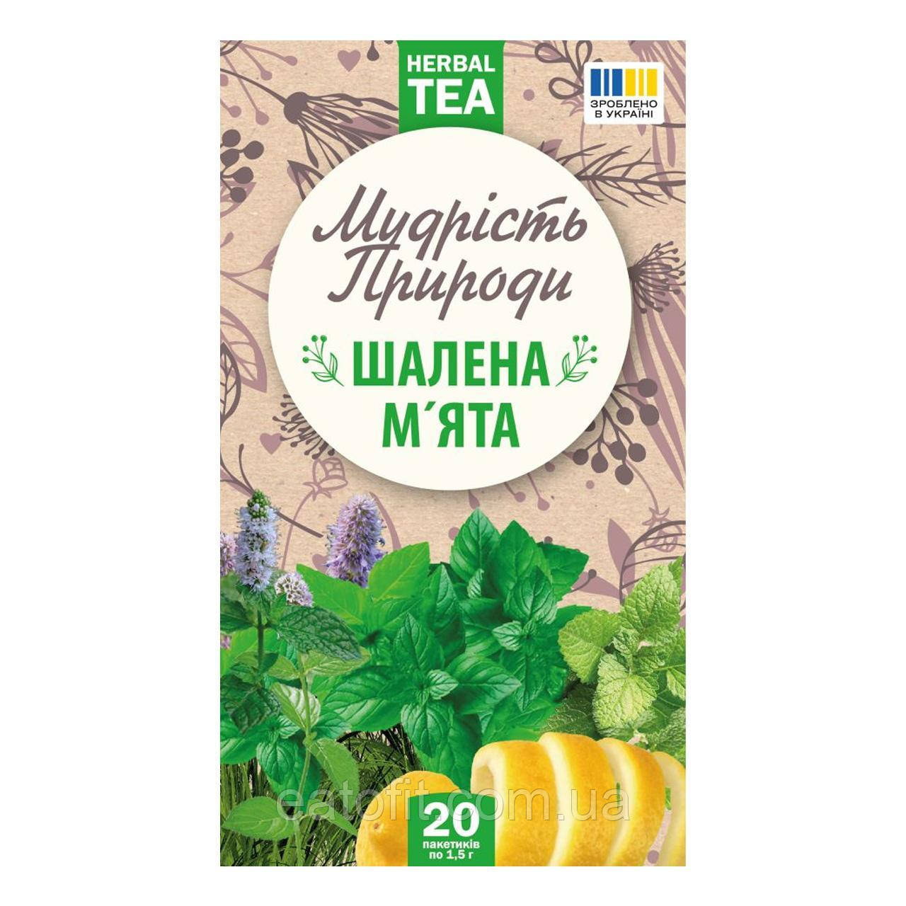 Фіточай Шалена м'ята, Мудрість природи