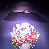 80W 210LED Лампа для рослин UFO (Фітолампа Світильник Гроубокс Теплиця Зелень Повний спектр), фото 5
