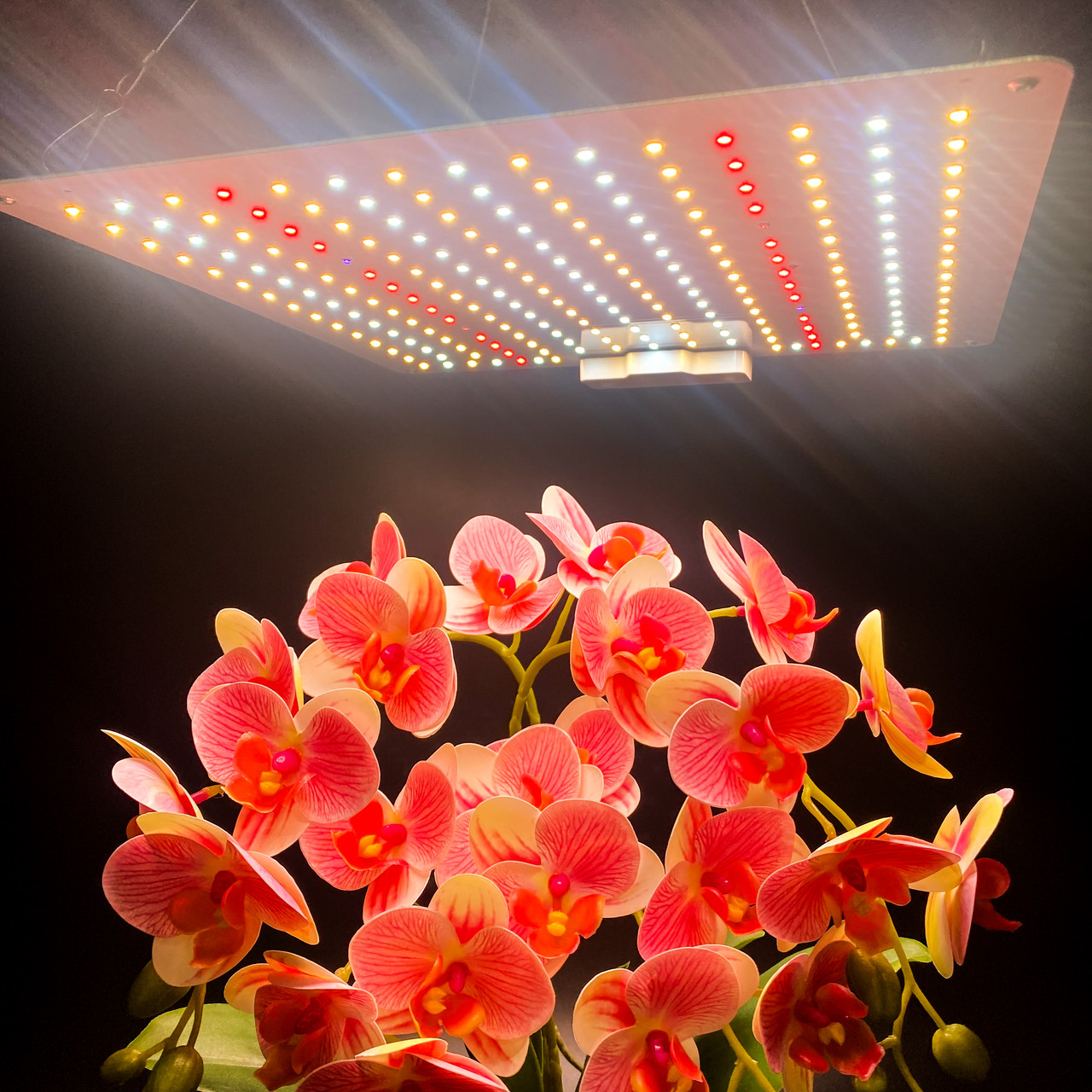 80W 210LED Лампа для рослин UFO (Фітолампа Світильник Гроубокс Теплиця Зелень Повний спектр)