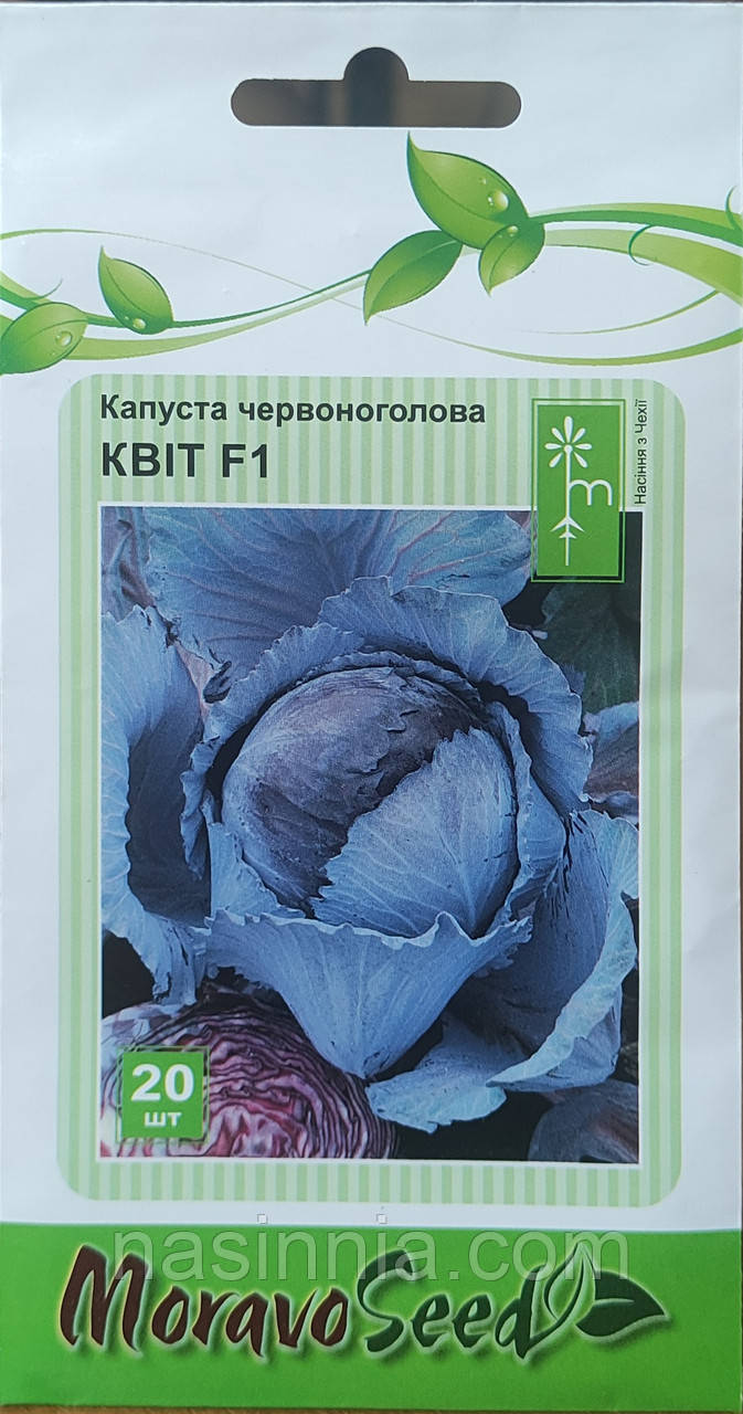 Капуста червоноголова Квіт F1 20 насінин, фото 1