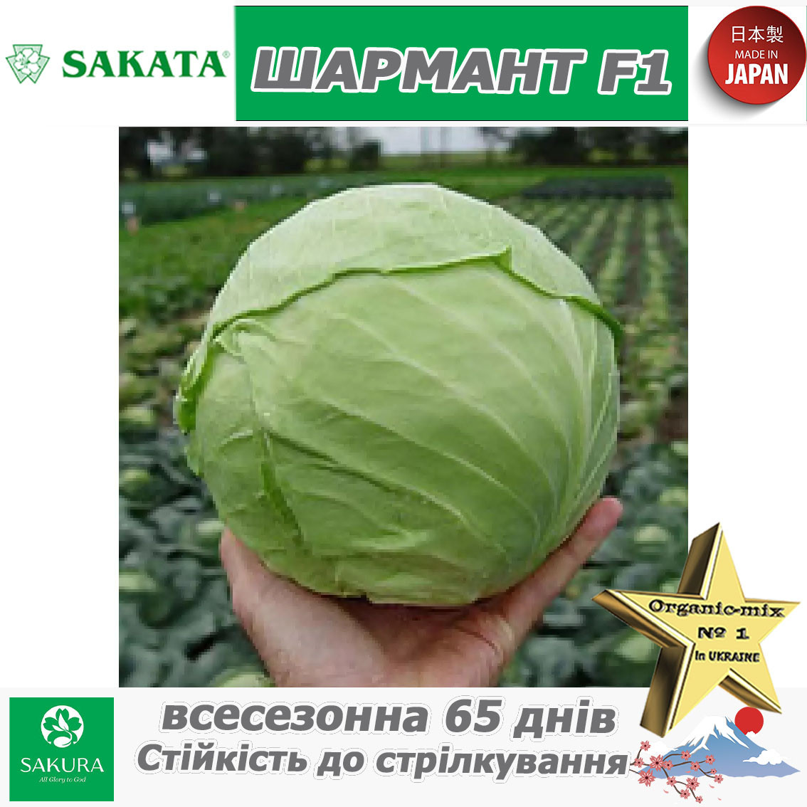Капуста всесезонна Шармант F1, ТМ Sakata (Японія), 1000 насінин