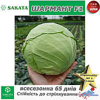 Капуста всесезонна Шармант F1, ТМ Sakata (Японія), 1000 насінин