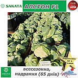 Цвітна надрання капуста Алстон F1, ТМ Sakata (Японія), 1000 насінин, фото 5