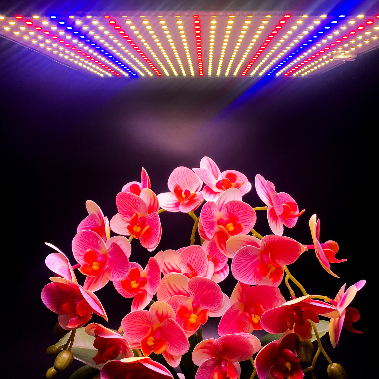 Фітолампа 60W 500LED (Повний спектр. Фітопанель. Фитосвет. Освітлення для рослин.) Soled.in.ua