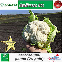 Цвітна капуста (всесезонна) Вайтон F1, ТМ Sakata (Японія), 1000 насінин