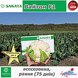 Цвітна капуста (всесезонна) Вайтон F1, ТМ Sakata (Японія), 1000 насінин, фото 3