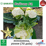 Цвітна капуста (всесезонна) Вайтон F1, ТМ Sakata (Японія), 1000 насінин, фото 4