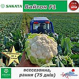 Цвітна капуста (всесезонна) Вайтон F1, ТМ Sakata (Японія), 1000 насінин, фото 5