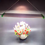 Quantum board Фітолампа 100 W 226 LED lm281B (Mars hydro Гроубокс Мікрозелень Лампа для рослин) Soled.in.ua, фото 5