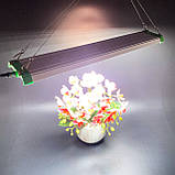 Quantum board Фітолампа 100 W 226 LED lm281B (Mars hydro Гроубокс Мікрозелень Лампа для рослин) Soled.in.ua, фото 4