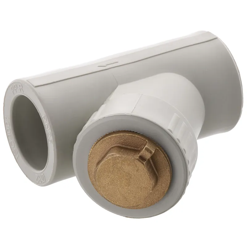 Фільтр грубої очистки Europroduct EP.0110 - 32 PPR (EP4035), фото 1