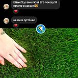 Газонний комплекс СПОРТ міні набір 5кг для ручного посіву з добривами  спортивний газон насіння, фото 4