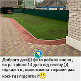 Газонний комплекс СПОРТ міні набір 5кг для ручного посіву з добривами  спортивний газон насіння, фото 3