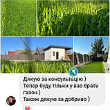 Газонні низькорослі трави для ландшафтного дизайну і озеленення 1кг і оптом гарантія!, фото 3