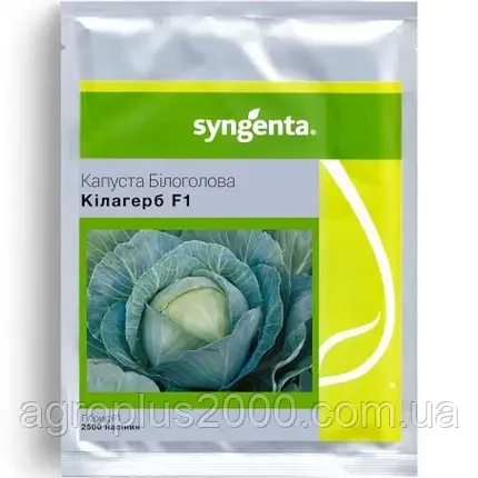 Насіння Капуста білокачанна пізня Кілагерб F1, 2500 насінин Syngenta, фото 1