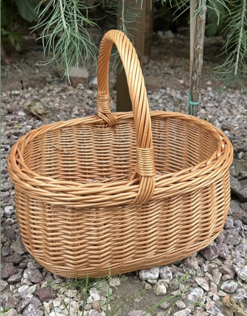 Кошик із лози «новинка"