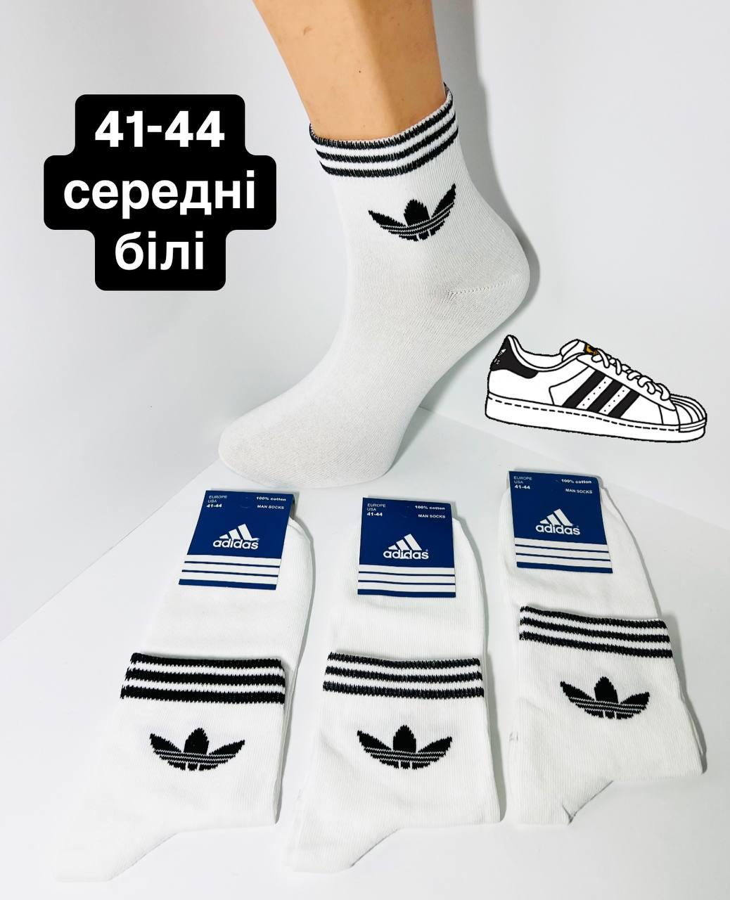 Шкарпетки чоловічі 12 пар демісезонні спортивні середні з бавовни Adidas розмір 41-44 білі