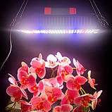 50W 312 LED. Фітолампа для рослин. (Повний спектр. Гроубокс. Фітосвітильник. Теплица.) Soled.in.ua, фото 3
