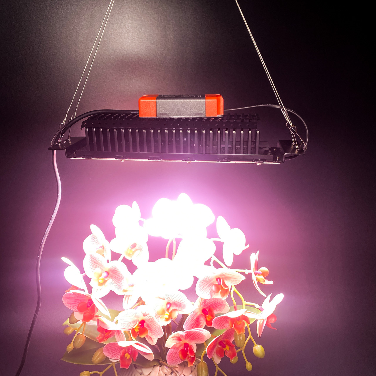 50W 312 LED. Фітолампа для рослин. (Повний спектр. Гроубокс. Фітосвітильник. Теплица.) Soled.in.ua