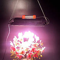 50W 312 LED. Фітолампа для рослин. (Повний спектр. Гроубокс. Фітосвітильник. Теплица.) Soled.in.ua