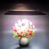 120W 276 LED. Фітолампа для рослин. (Повний спектр. Гроубокс. Розсада. Теплица.) Soled.in.ua, фото 6