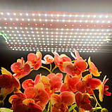 120W 276 LED. Фітолампа для рослин. (Повний спектр. Гроубокс. Розсада. Теплица.) Soled.in.ua, фото 3