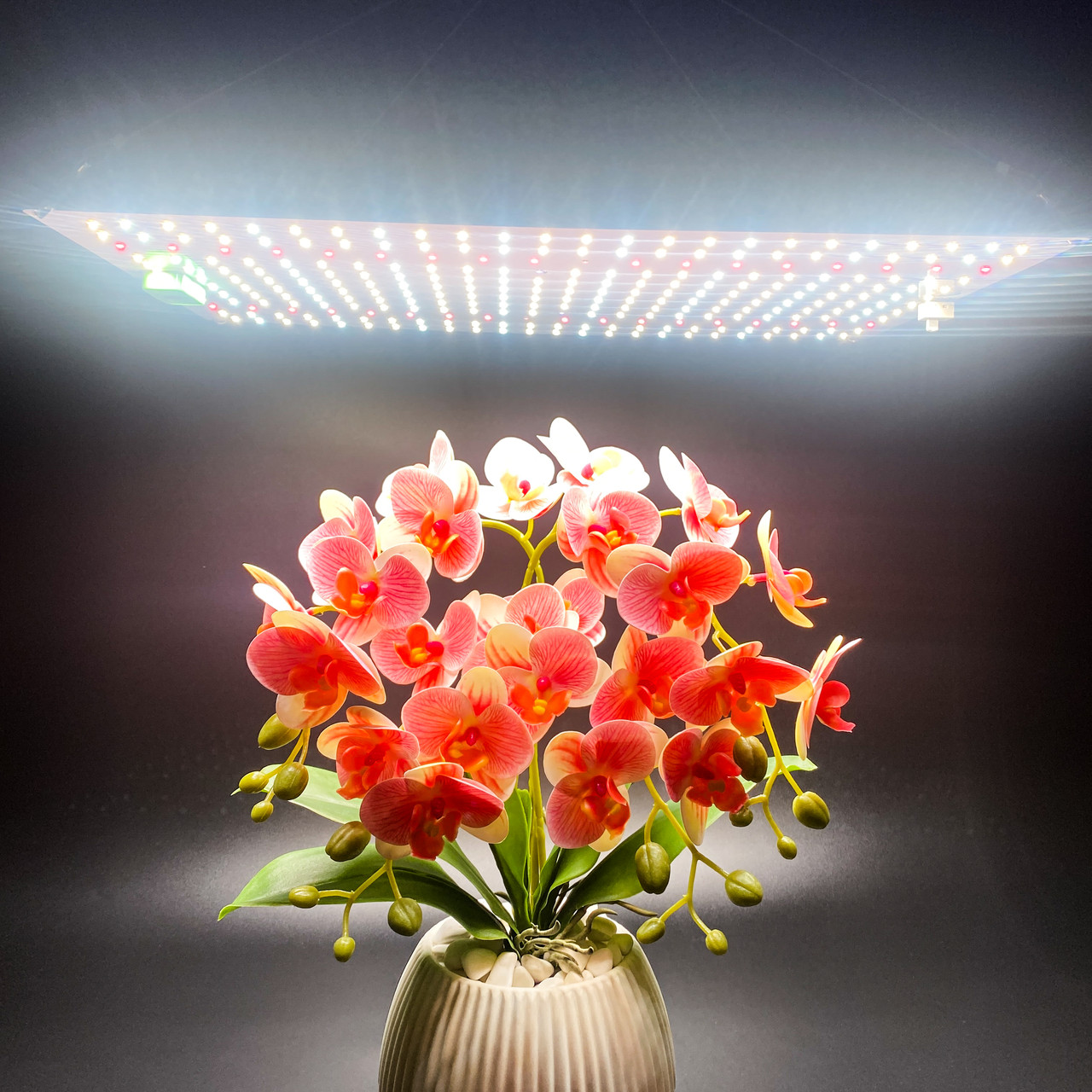 120W 276 LED. Фітолампа для рослин. (Повний спектр. Гроубокс. Розсада. Теплица.) Soled.in.ua