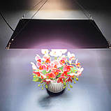 120W 276 LED. Фітолампа для рослин. (Повний спектр. Гроубокс. Розсада. Теплица.) Soled.in.ua, фото 4