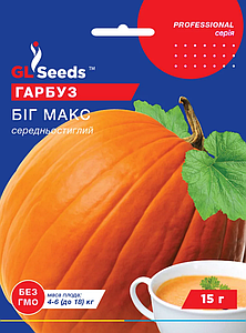 Насіння гарбуза Біг Макс 15г GL Seeds