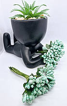 Тичинки, додатки. Лак, цукор, кукурудза.  У пучку 12 тичинок. Ціна за пучок. Колір  м'ята.