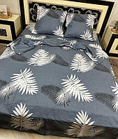 Сімейний комплект з простирадлом на резинці 160х200х20, принт: Папороть