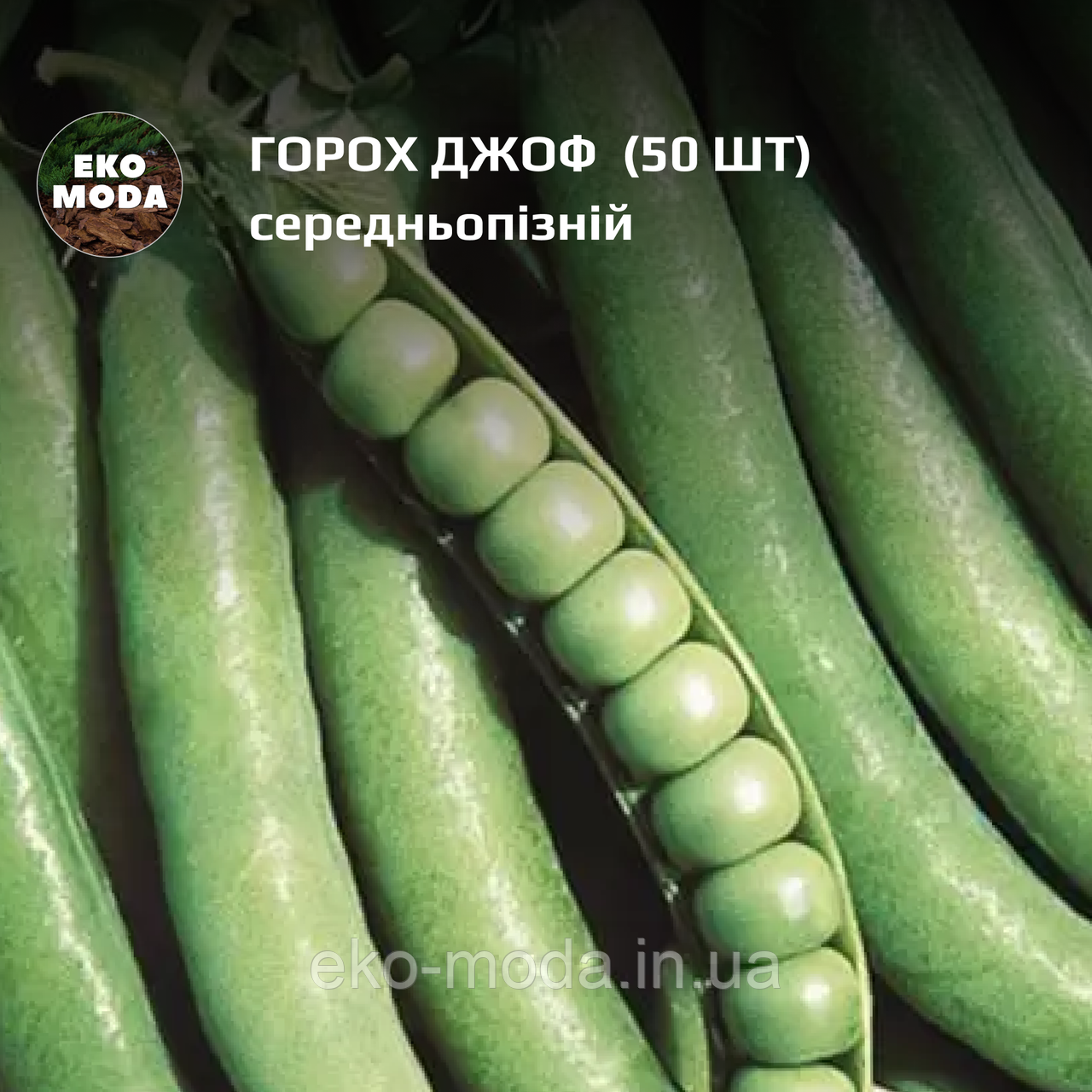 Горох Джоф - середньопізній - ( 50 шт zip-пакет), фото 1