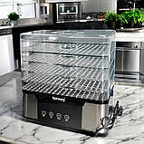 Електрична сушка Rainberg 1000 Вт на 5 ярусів для овочів фруктів і м'яса з терморегулятором 35-80°C, фото 2