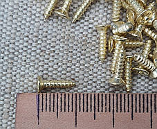 Саморізи, шурупи декоративні. Колір золото 2,5х10мм. Комплект (10шт), фото 2