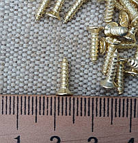 Саморізи, шурупи декоративні. Колір золото 2,5х10мм. Комплект (10шт), фото 3