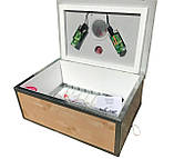 Інкубатор універсальний ,100, з механічним переворотом , у пластиковому корпусі, фото 4