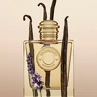 Burberry Goddess — Уособлення жіночності та сили