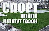 Газонний комплекс СПОРТ міні набір 5кг для ручного посіву з добривами  спортивний газон насіння, фото 10