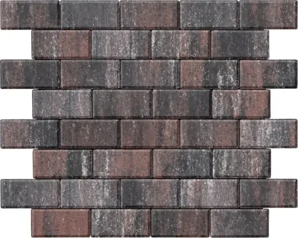 Бруківка 200х100х40 терра