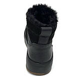 Жіночі шкіряні кеди чорного кольору з шнуровкою на шерсті Mida 240712(383ш) розмір 36, фото 6