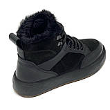 Жіночі шкіряні кеди чорного кольору з шнуровкою на шерсті Mida 240712(383ш) розмір 36, фото 7